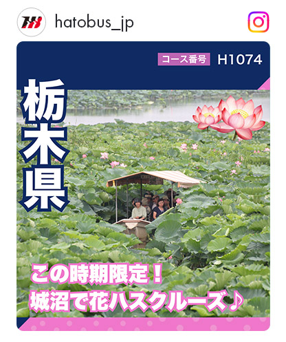 H1074