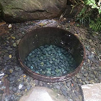 明治神宮御苑