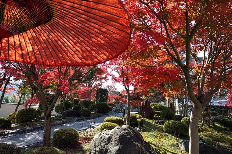 宝徳寺