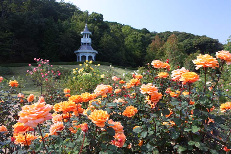 河津バガテル公園