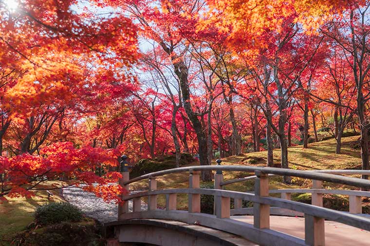 箱根美術館・太鼓橋