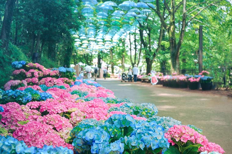 【2026初夏】ムーミンバレーパーク 