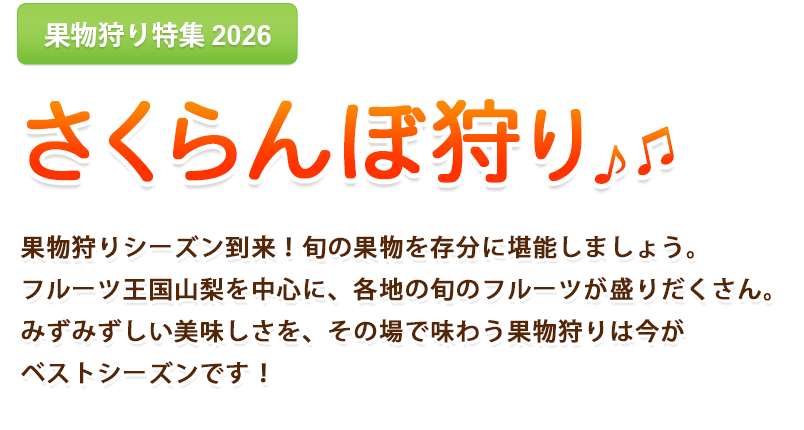 はとバスツアー・さくらんぼ狩り2026
