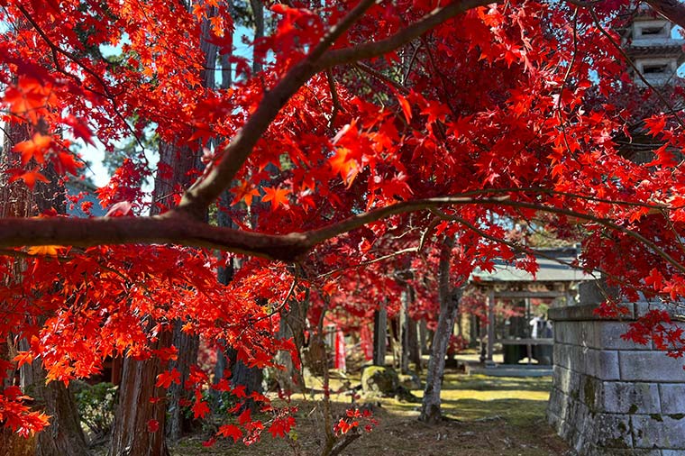 鹿野山神野寺