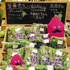 なめがたファーマーズヴィレッジ