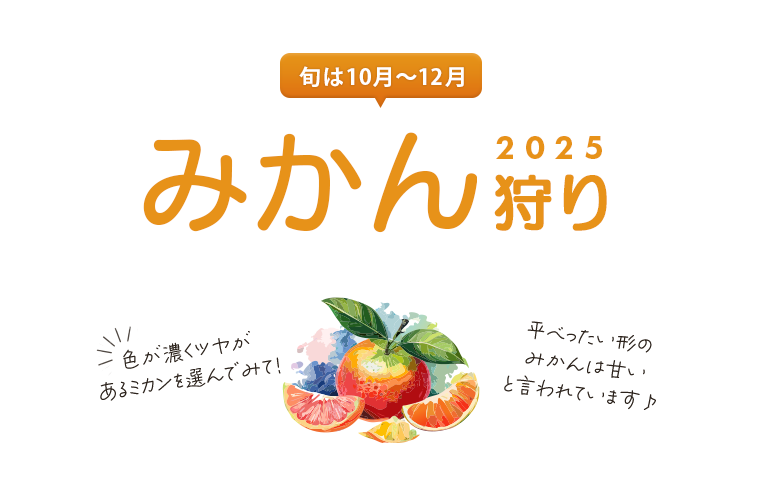 みかん狩り特集2025