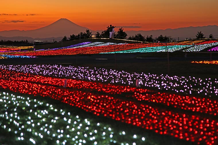 マザー牧場・イルミネーション