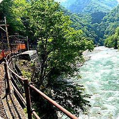 黒部峡谷鉄道・黒部川