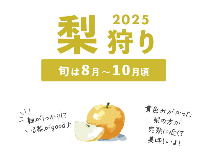 ブルーベリー狩り特集2025