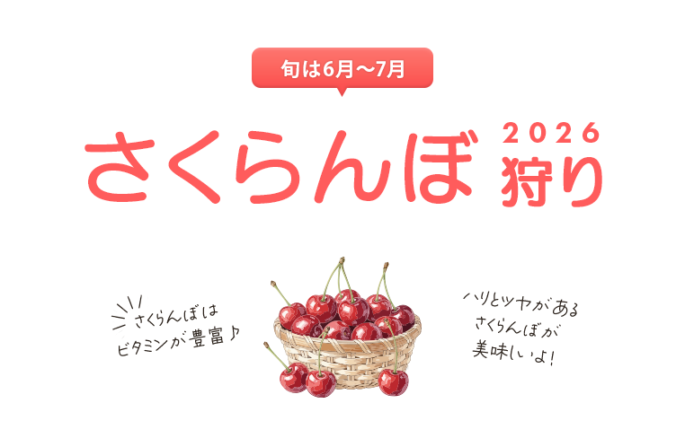 さくらんぼ狩り特集2026
